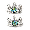 304 Stainless Steel Pave Natural Paua Shell Pendants STAS-C122-21A-01P-1