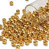TOHO 3/0 Round Beads SEED-XTR03-PF0557-1