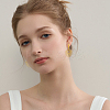 2Pairs 2 Colors 304 Stainless Steel Hoop Earrings EJEW-HS0001-25-6