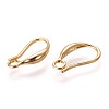 Brass Earring Hooks LS-KK-L177-29G-1