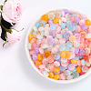 600Pcs Glass Seed Beads SEED-PA0001-17-3