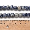Natural Blue Spot Jasper Beads Strands G-H078-C20-01-5