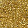 TOHO Round Seed Beads X-SEED-TR08-PF0022-4