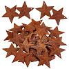 Rust Iron Pendants LS-IFIN-WH0065-16A-1