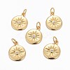 Brass Charms X-ZIRC-L070-63G-1