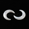 Acrylic Beads OACR-H042-06B-2