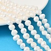 Natural Cultured Freshwater Pearl Beads Strands PEAR-P064-19J-02B-1