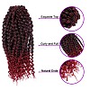 Spring Twist Ombre Colors Crochet Braids Hair LS-OHAR-G005-10C-3
