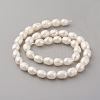 Natural Cultured Freshwater Pearl Beads Strands PEAR-G007-23-2