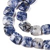 Natural Blue Spot Jasper Beads Strands G-T138-172-3