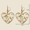 Heart Alloy Resin Dangle Earrings FS-WG72C44-05-1