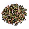 Natural Unakite Tumbled Chips PW-WGA7DCE-13-1