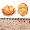 Opaque Resin Imitation Food Decoden Cabochons RESI-S405-06B-3