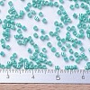 MIYUKI Delica Beads SEED-X0054-DB0166-4