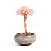 Undyed Natural Rose Quartz Chips Tree of Life Display Decorations TREE-PW0001-24A-1