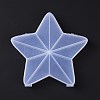 10 Grids Transparent Plastic Box LS-CON-B009-06-1