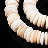 Natural Freshwater Shell Beads Strands SSHEL-T017-02-3