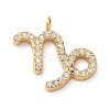 Ion Plating(IP) 304 Stainless Steel Micro Pave Cubic Zirconia Charms STAS-Z107-09G-12-1