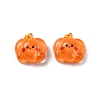 Cartoon Transparent Resin Cabochons LS-CRES-R459-01H-1