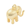 Brass Pendants KK-I380-09G-2