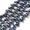 Natural Cultured Freshwater Pearl Beads Strands PEAR-J007-31-1