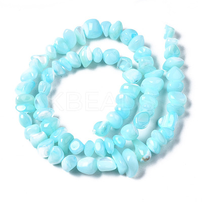 Natural Trochid Shell/Trochus Shell Bead Strands SSHEL-N034-78-C03-1