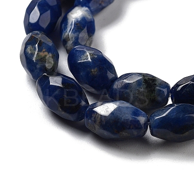 Natural Sodalite Beads Strands G-P520-C07-01-1