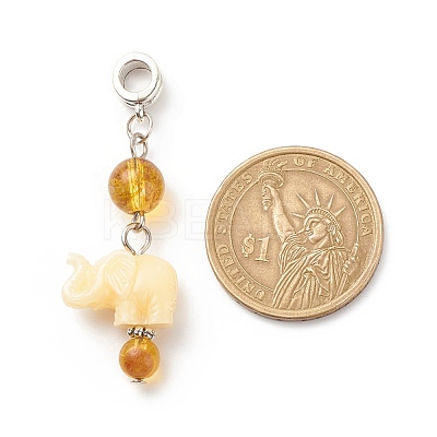 Opaque Resin and Natural Mixed Stone European Dangle Charms PALLOY-JF01764-1