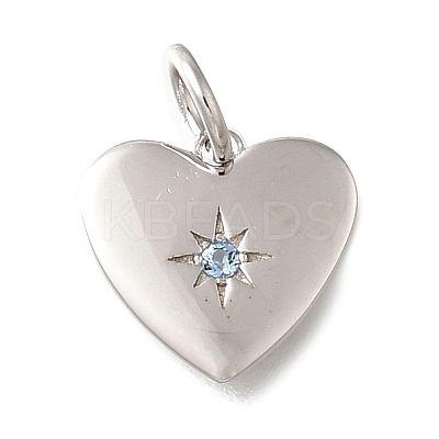 925 Sterling Silver Micro Pave Clear Cubic Zirconia Charms STER-V001-01P-12-1