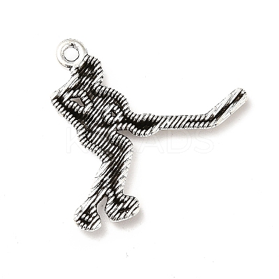 Tibetan Style Alloy Pendants PALLOY-M198-09AS-1