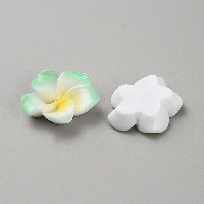 Two Tone Resin Cabochons RESI-WH20010-01B-1