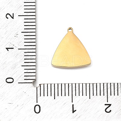 304 Stainless Steel Micro Pave Cubic Zirconia Charms STAS-I356-04G-02-1