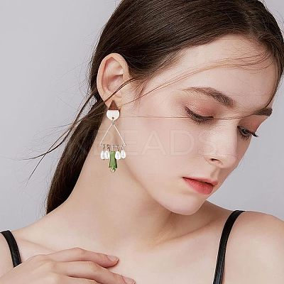 12 Pairs 12 Colors Transparent & Opaque Resin & Walnut Wood Stud Earring RESI-FH0001-42-1