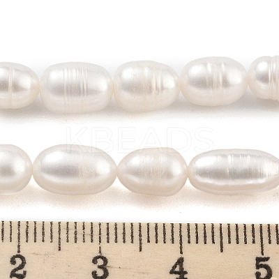 Natural Cultured Freshwater Pearl Beads Strands PEAR-P062-08D-1