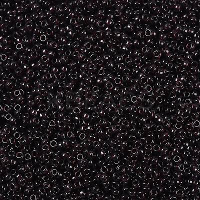 MIYUKI Round Rocailles Beads X-SEED-G009-RR2402-1