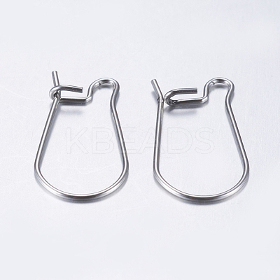 Tarnish Resistant 304 Stainless Steel Hoop Earrings STAS-L198-15B-P-1