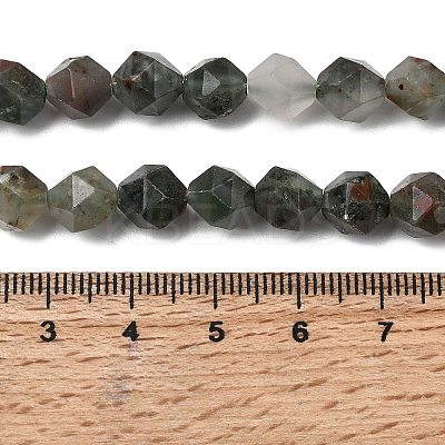 Natural African Bloodstone Beads Strands G-Z119-A28-02-1