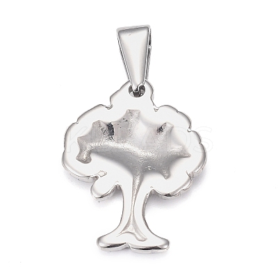 Tarnish Resistant 304 Stainless Steel Pendants STAS-H110-17P-1
