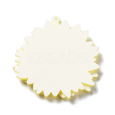 Printed Transparent Acrylic Pendants LS-SACR-P029-B04-1