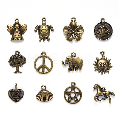 Tibetan Style Alloy Pendants TIBEP-YW0001-07AB-1