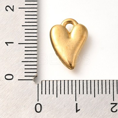 Ion Plating(IP) 304 Stainless Steel Charms STAS-I321-79G-1