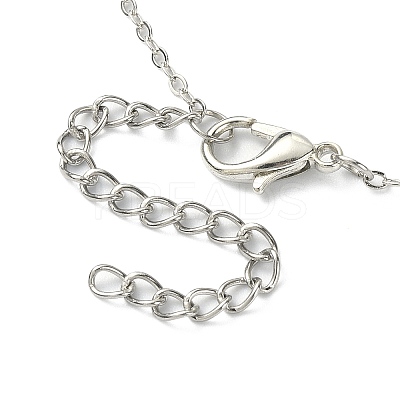 Crystal Rhinestone Heart Pendant Necklace with Cable Chains NJEW-FZ00017-1