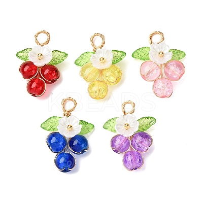 10Pcs 5 Colors Glass & Resin & Acrylic Pendants PALLOY-AL0040-1