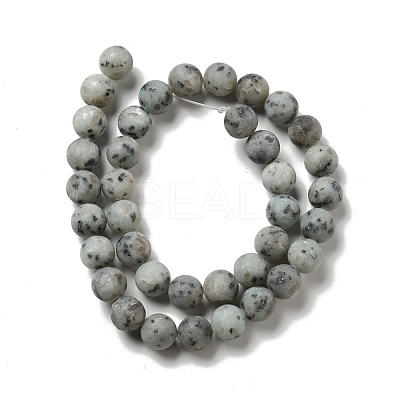 Natural Sesame Jasper/Kiwi Jasper Beads Strands G-I258-02-1