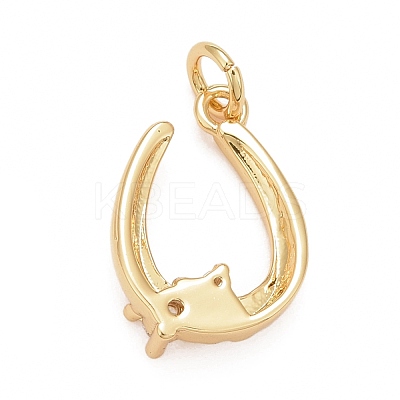 Rack Plating Brass Clear Cubic Zirconia Pendants KK-M229-30G-1
