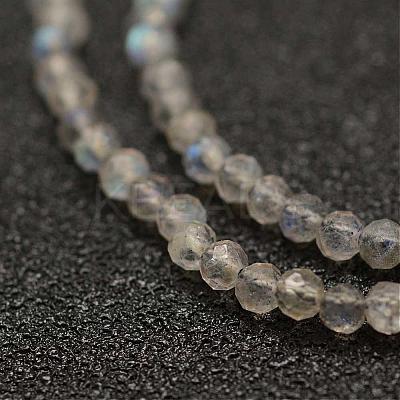 Natural Labradorite Beads Strands G-K182-2mm-25A-1