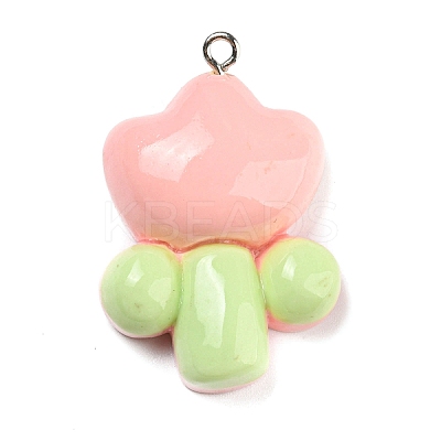 Opaque Resin Pendants LS-RESI-G078-01K-1