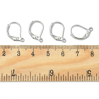 Tarnish Resistant 304 Stainless Steel Leverback Earring Findings STAS-S028-07-1