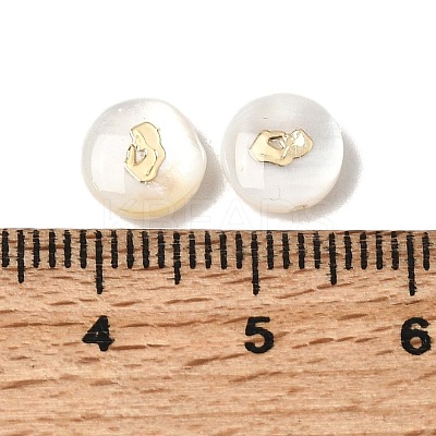 Natural Freshwater Shell Flat Round Beads SHEL-C009-01B-1