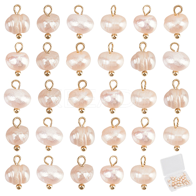 Natural Cultured Freshwater Pearl Potato Charms PALLOY-SC00008-1